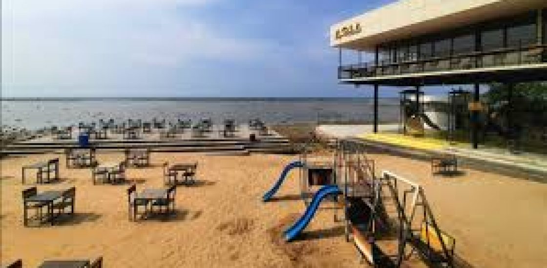 Rekomendasi Kopi Bali: Menyelami Aroma dan Cita Rasa Otentik dari Pulau Dewata
