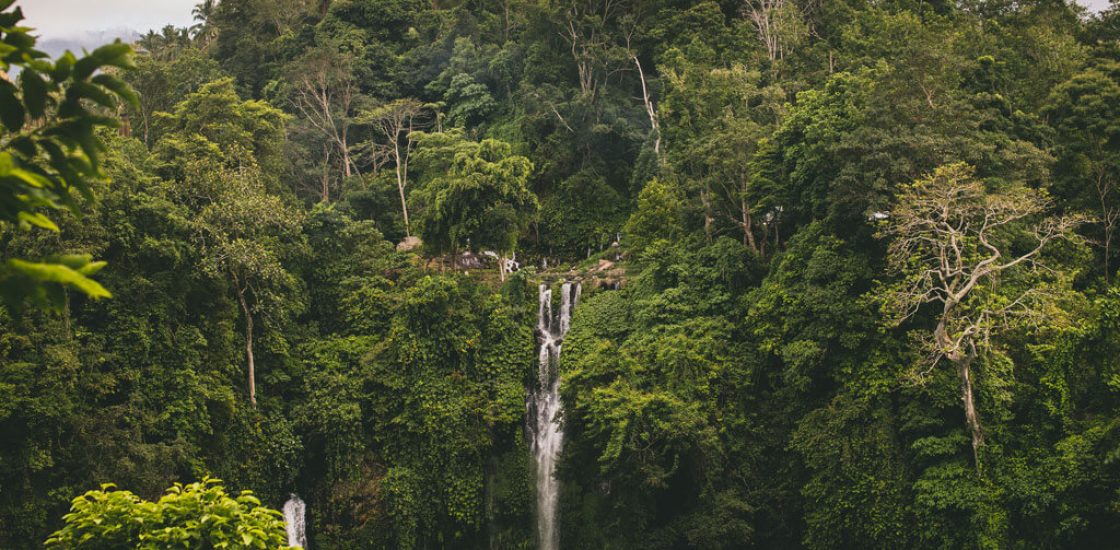 Air Terjun Sekumpul: Surga Tersembunyi di Bali Utara
