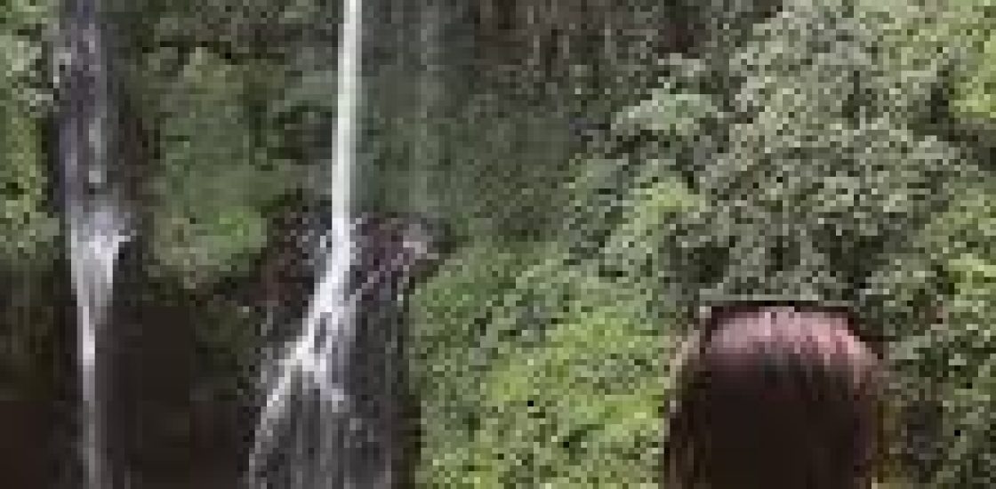 Air Terjun Sekumpul