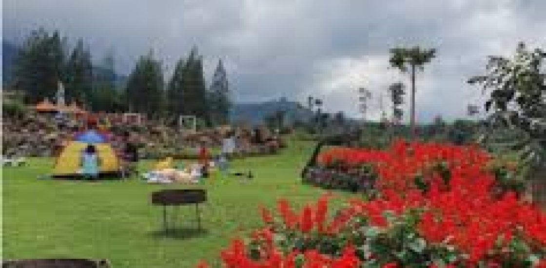 Liburan Tenang di Anjungan Wanagiri dan Danau Buyan Bali