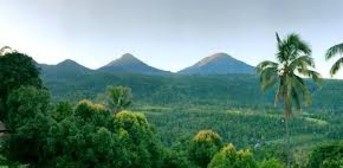 Mengunjungi Desa Wisata Munduk di Bali Utara