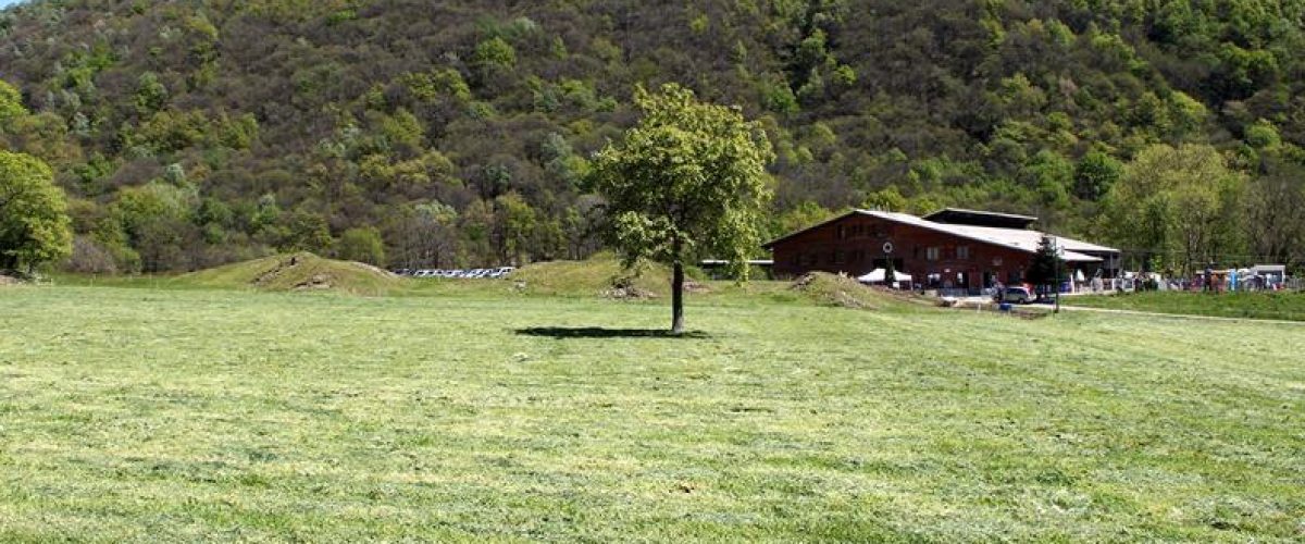 fattoria_scoglio