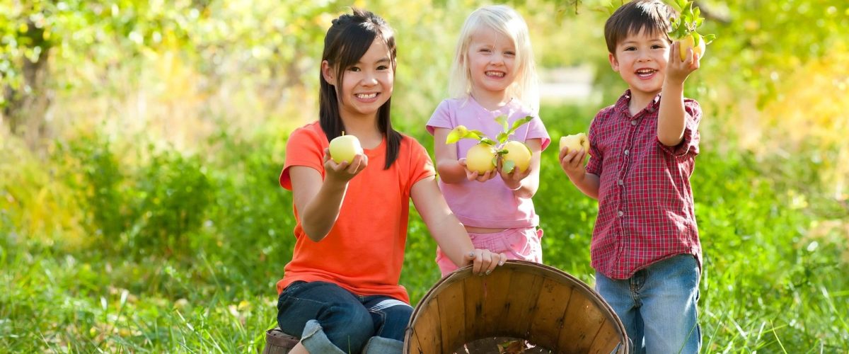 il sentiero della mela