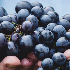 Grappolo d'uva tra le mani